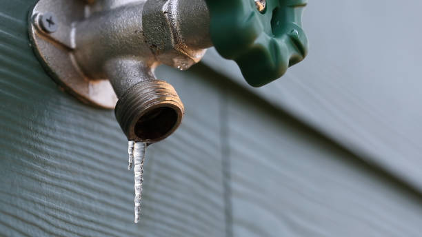 Best Shower Repair Services  in Midlothian, IL